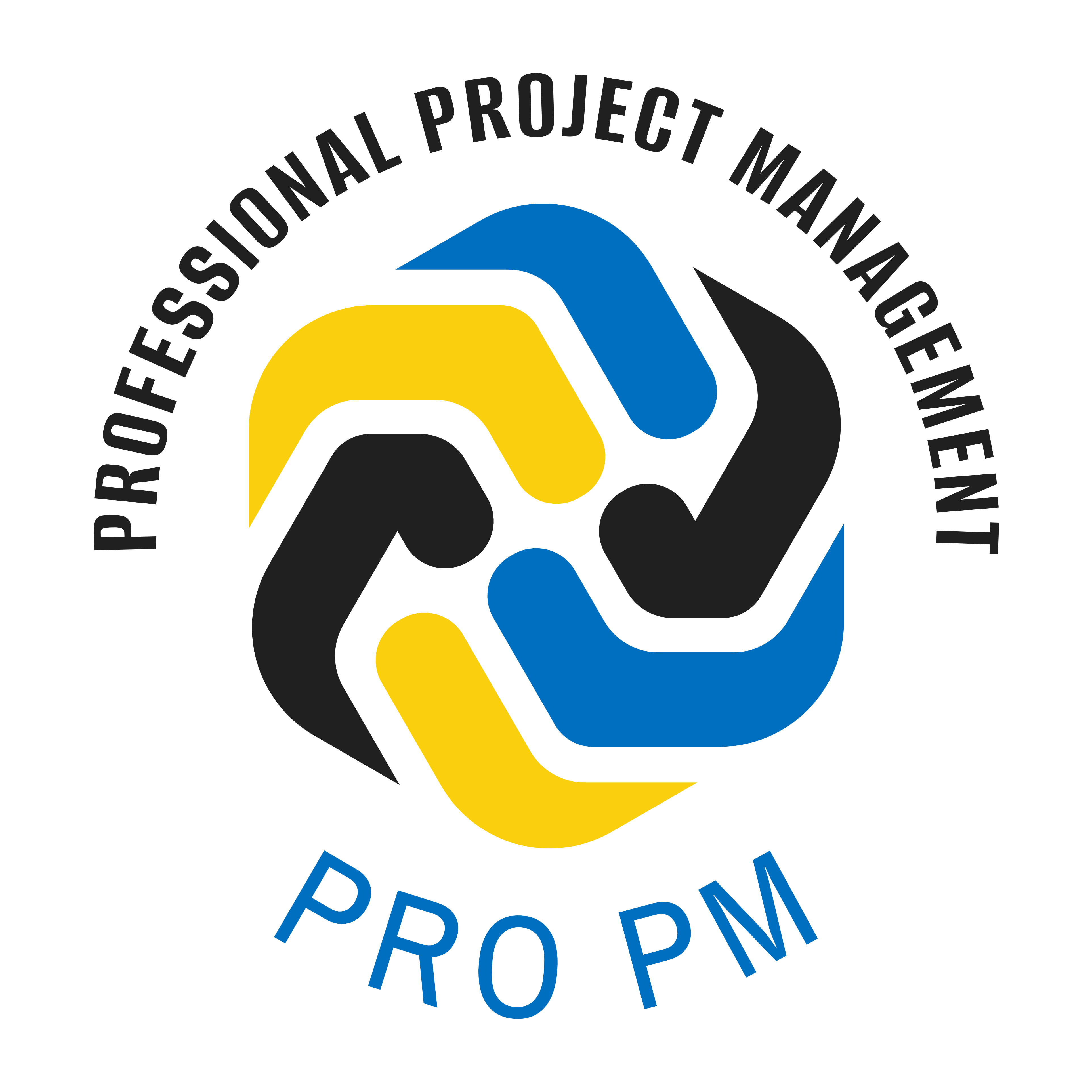 Professional Project Management